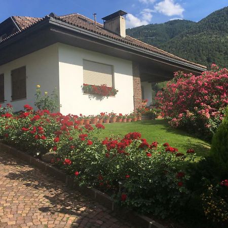 Вилла Weingut Zundlhof Больцано Экстерьер фото