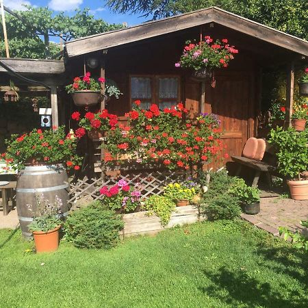 Вилла Weingut Zundlhof Больцано Экстерьер фото