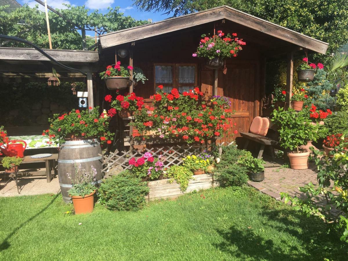 Вилла Weingut Zundlhof Больцано Экстерьер фото
