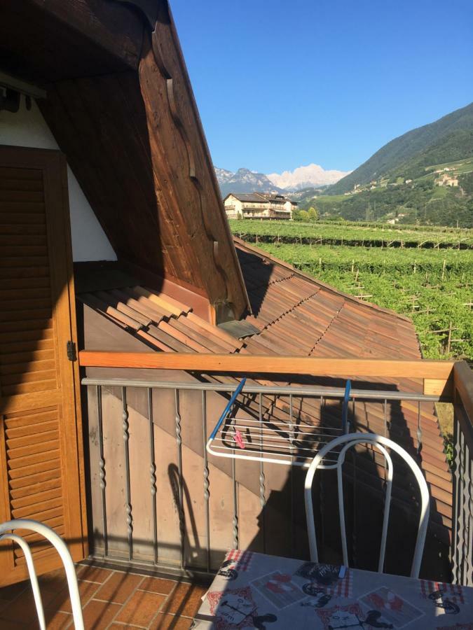 Вилла Weingut Zundlhof Больцано Экстерьер фото
